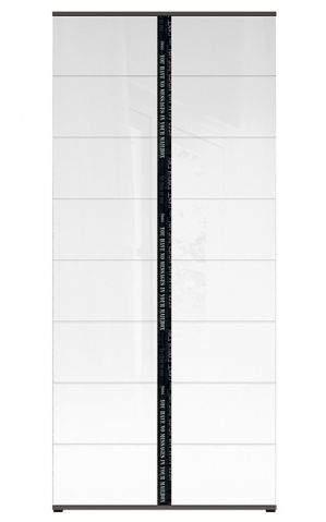 Шкаф GRAPHIC SZF2D/A