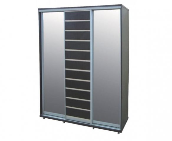 Шкаф-купе Прага 3Д