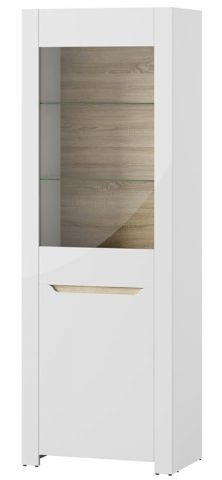 Витрина ICE 01