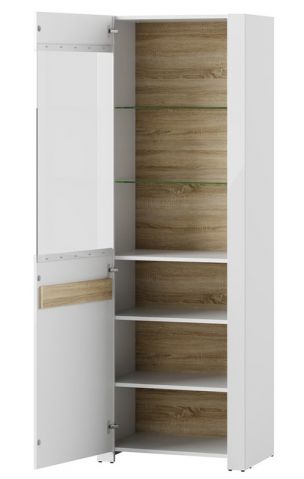 Витрина ICE 01