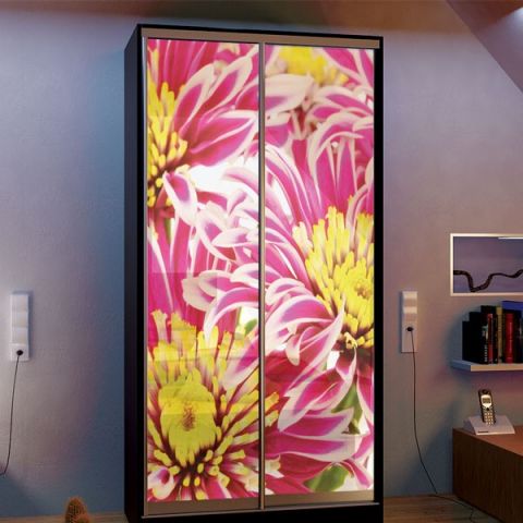 Шкаф купе (1400-450-2400)