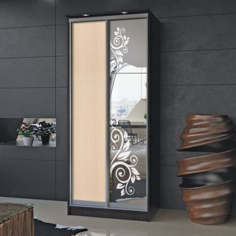 Шкаф купе (1600-450-2400)