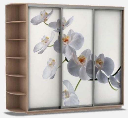 Шкаф купе Люкс (2700-600-2400)