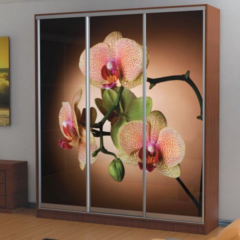 Шкаф купе (2000-450-2400) Мебельстар