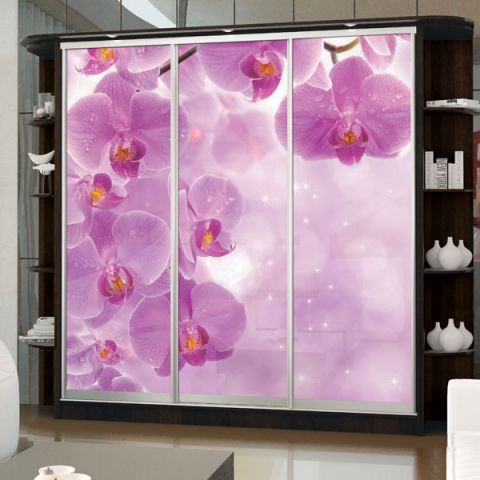 Шкаф купе (2300-600-2400) Мебельстар