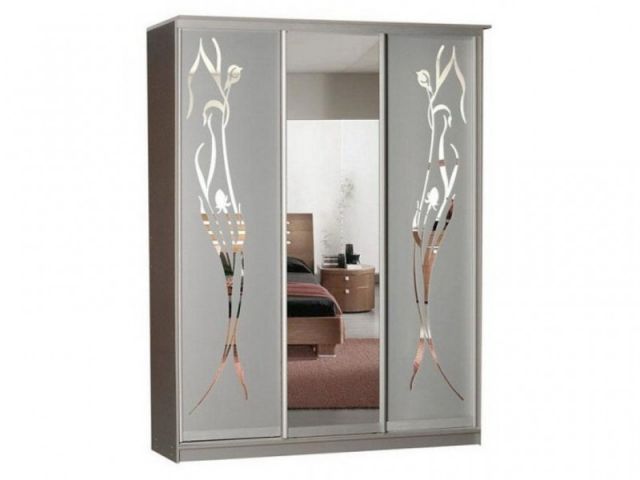 Шкаф-купе ЭКО-3 (1.8х0.6х2.4)