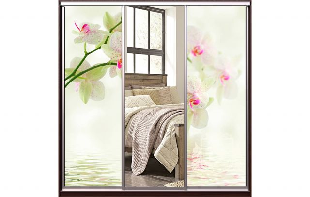 Шкаф-купе ЭКО-3 (1.9х0.45х2.4)