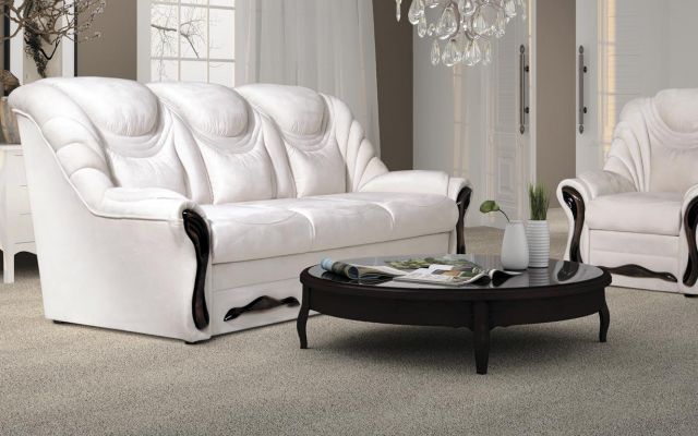 Диван Невада (дельфин)