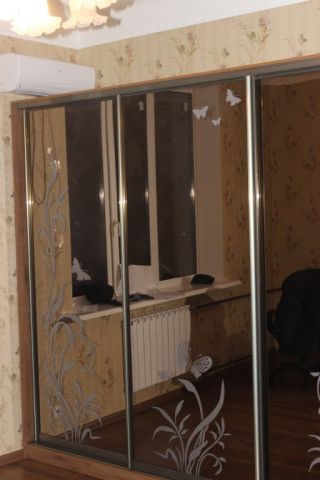 Шкаф-купе Дуб Античный