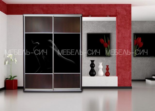 Шкаф-купе СИЧ (2200-450-1500)