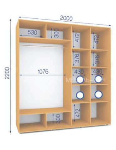 Шкаф-купе Сич (2200-450-2000)