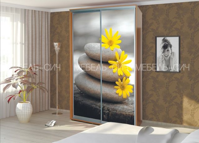 Шкаф-купе Сич (2400-600-1600)