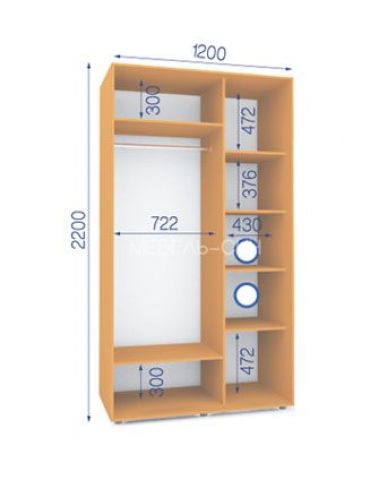 Шкаф-купе Сич (2200-600-1200)
