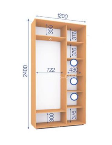 Шкаф-купе Сич (2400-450-1200)