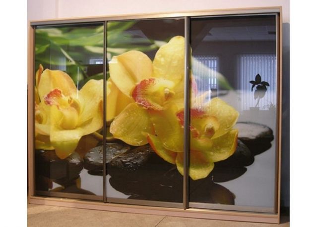 Шкаф-купе фотопечать (2200-450)