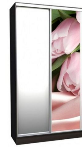 Шкаф-купе фотопечать (2200-600)