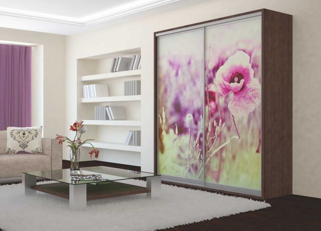 Шкаф купе Стандарт (1600-600-2400)