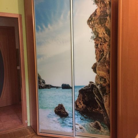 Шкаф-купе угловой (2200-450-1500)