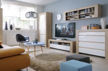 Гостиная 2 DANTON