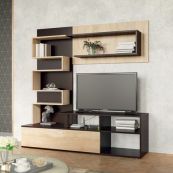 Стенка Сидни