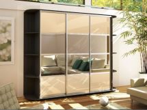 Шкаф купе (1800-450-2400)